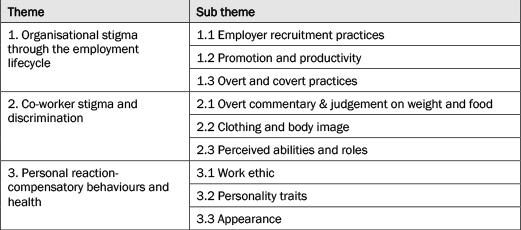 A table showing the themes and sub-themes of the results.